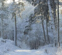 Naar Westerbork